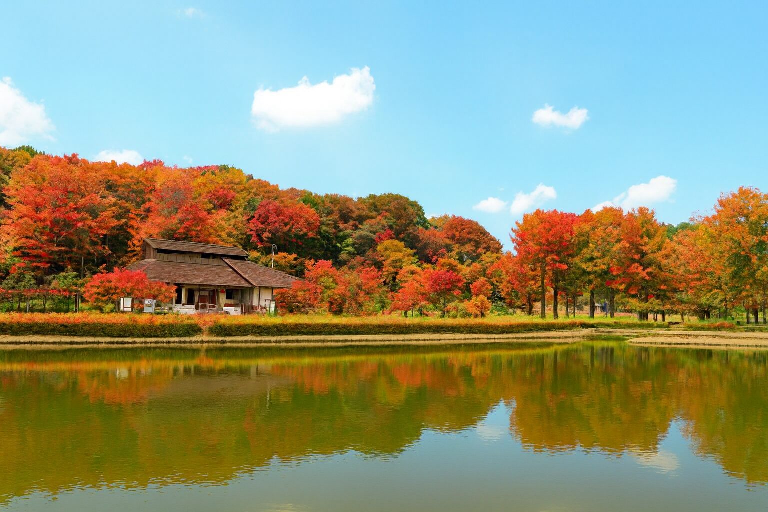 鳩山町の自然観光地・名所